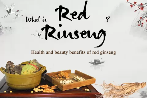 WHAT IS RED GINSENG? BENEFITS OF RED GINSENG FOR HEALTH AND BEAUTY